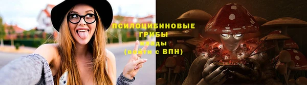 твердый Верхний Тагил