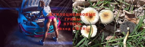 твердый Верхний Тагил