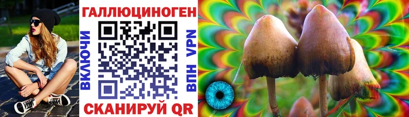 Галлюциногенные грибы Magic Shrooms  Купить где  Луховицы 